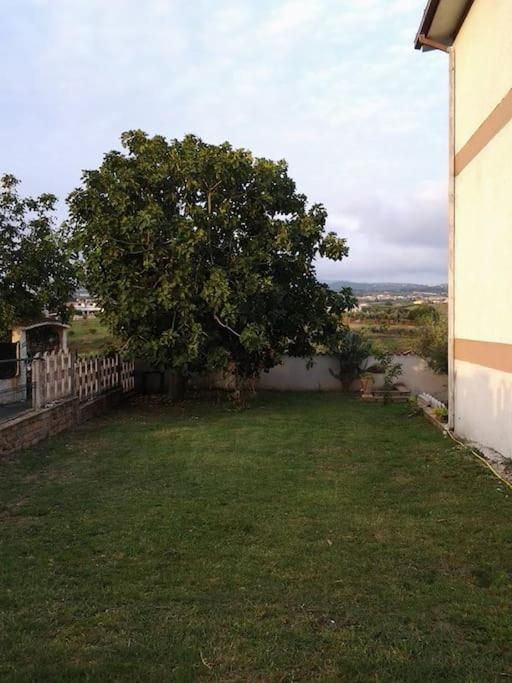 A Casa Mia Apartment Albano Laziale Ngoại thất bức ảnh